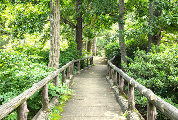 四宮森公園（徒歩3分／約190m）