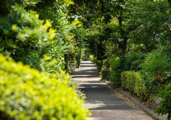 現地北側は井草川遊歩道